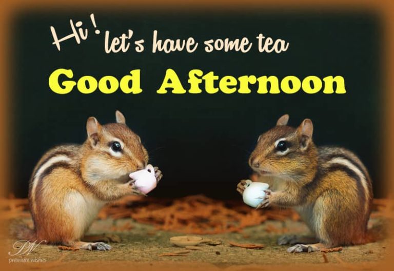 Good Afternoon Wishes