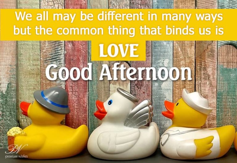 Good Afternoon Wishes