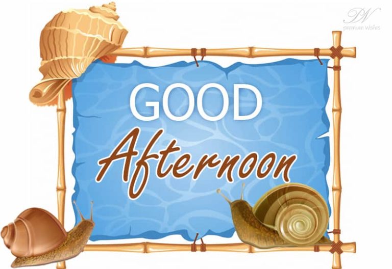 Good Afternoon Wishes