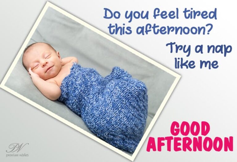 Good Afternoon Wishes