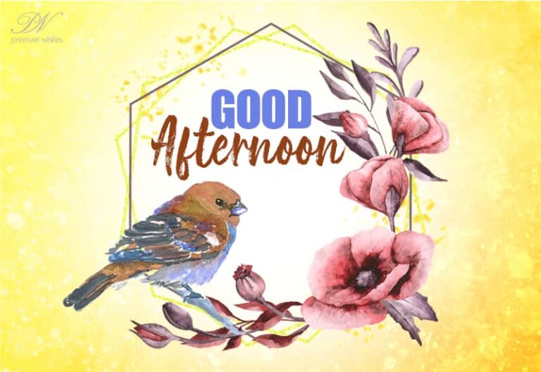 Good Afternoon Friends – Enjoy the noon!