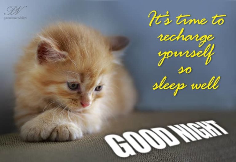 Good Night Wishes