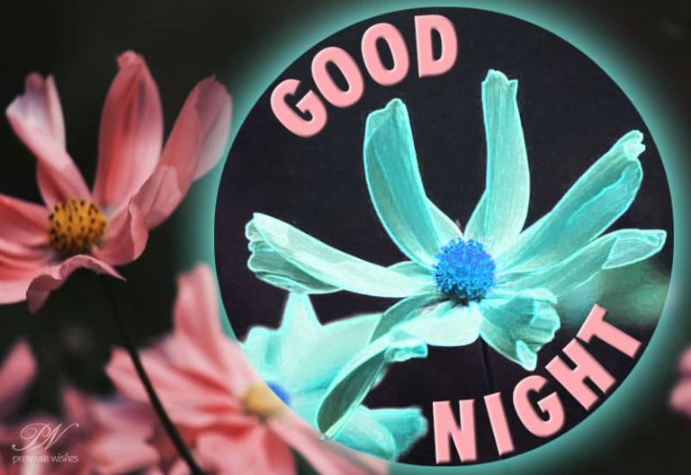 Good Night Wishes