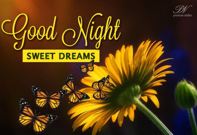 Good Night Wishes