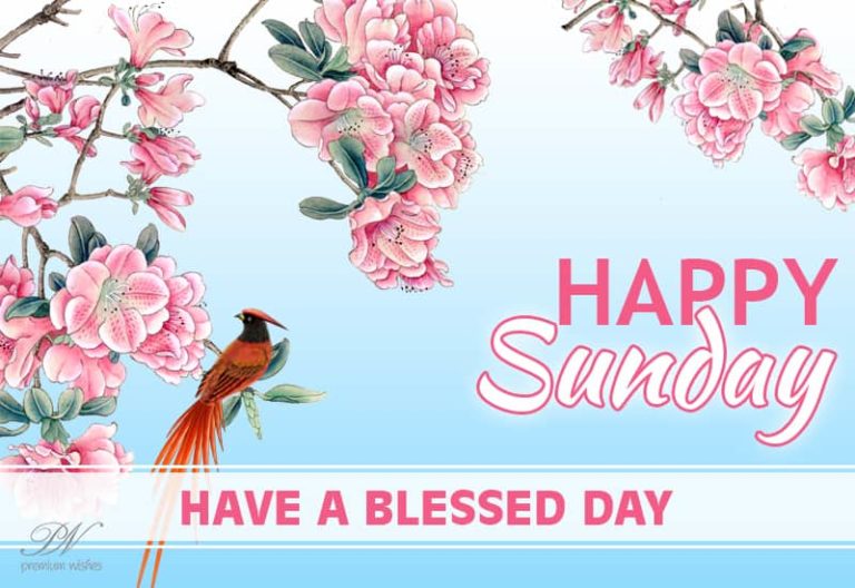 Happy Sunday – Have a day full of joyful moments