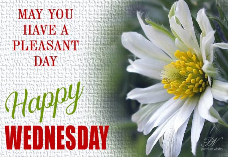 Happy Wednesday – Life is one time, use it well