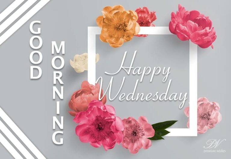 Happy Wednesday – Never lose hope