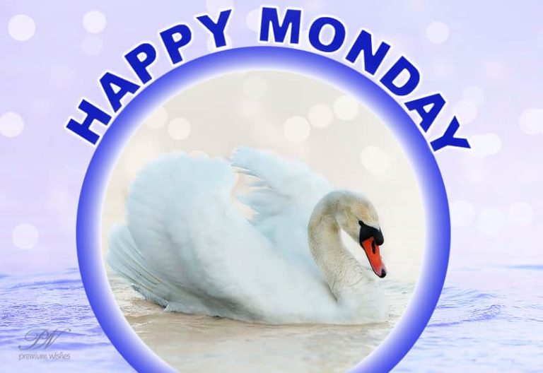 Happy Monday – Start your day on a poignant note