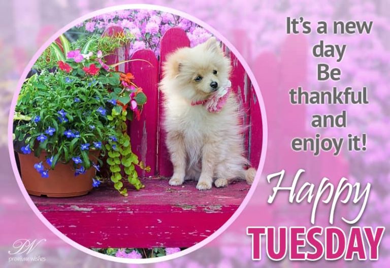It is a new day – Be Thankful and enjoy It  – Happy Tuesday