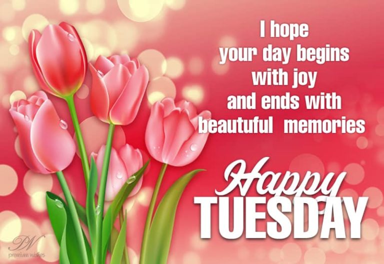 Happy Tuesday – I hope your day begins with joy and ends with beautiful memories