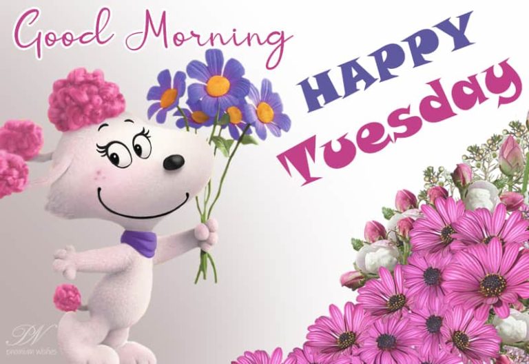 Happy Tuesday – May success be with you