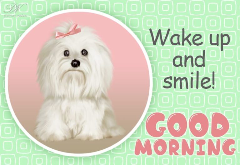 Good Morning – Wake up and Smile