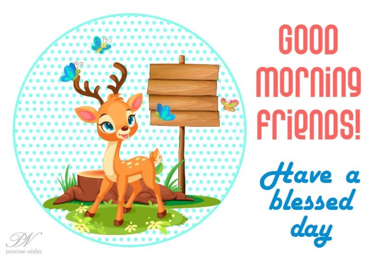 Good Morning Friends – Have a successful day