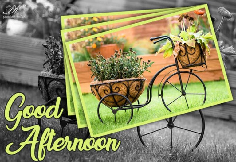Good Afternoon Wishes
