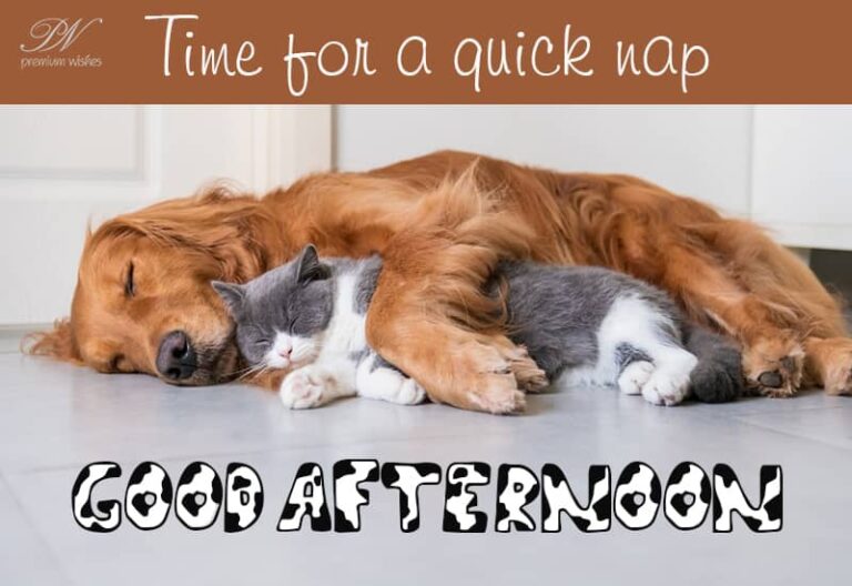 Good Afternoon Wishes