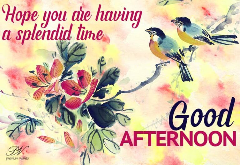 Good Afternoon Wishes
