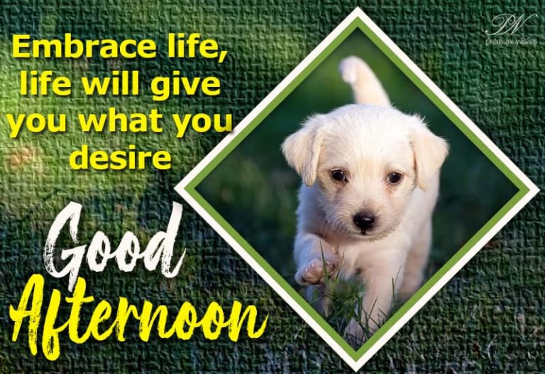 Good Afternoon Wishes