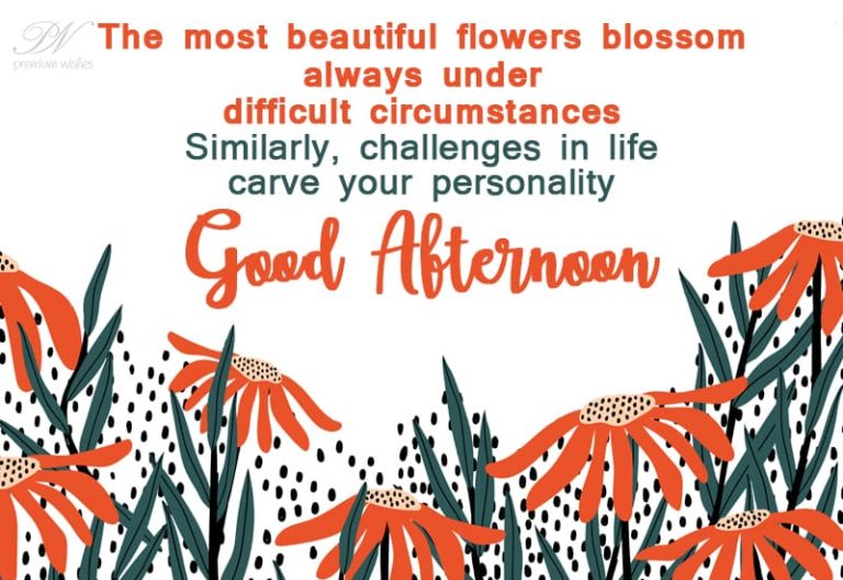 Good Afternoon Wishes