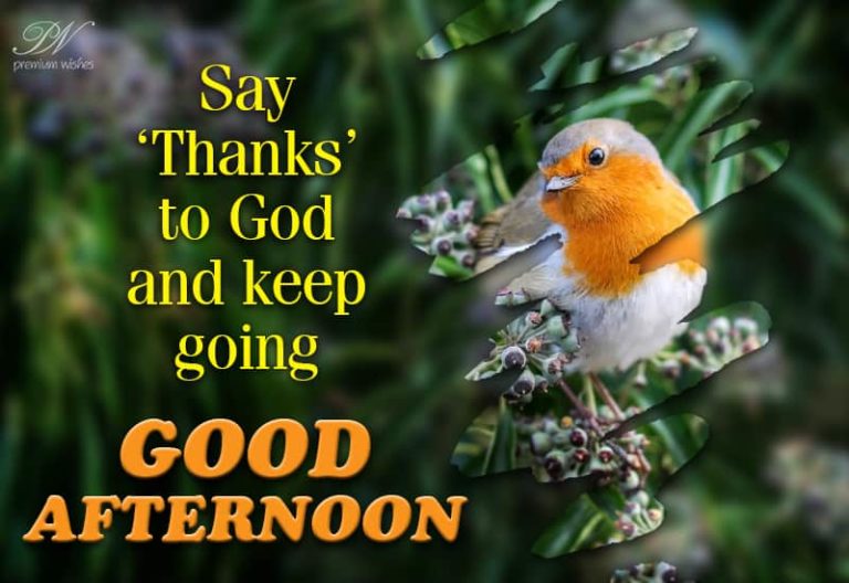 Good Afternoon Wishes