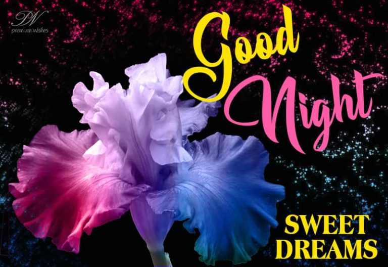 Good Night Wishes