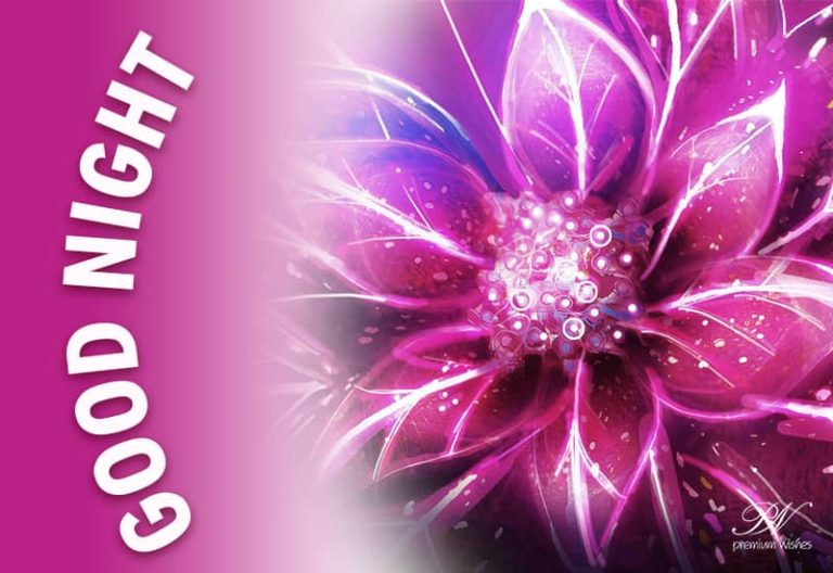Good Night Wishes
