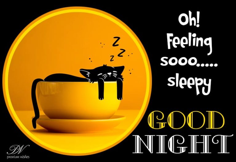 Good Night Wishes