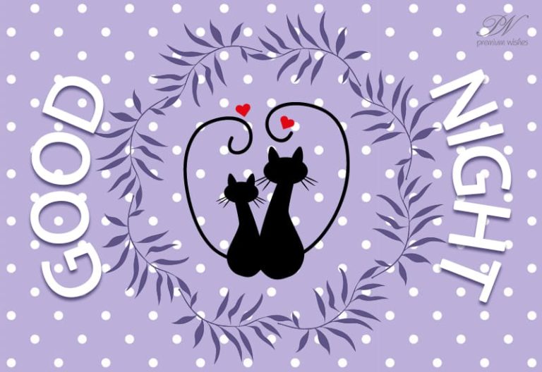 Good Night Wishes