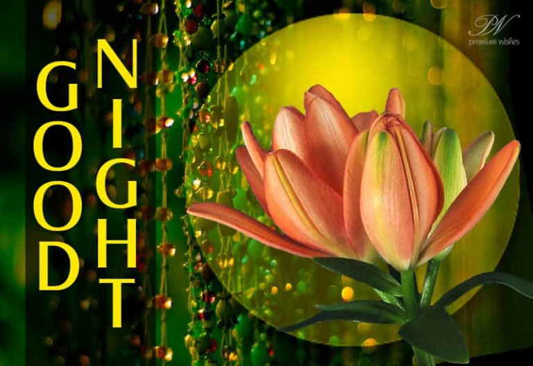 Good Night Wishes