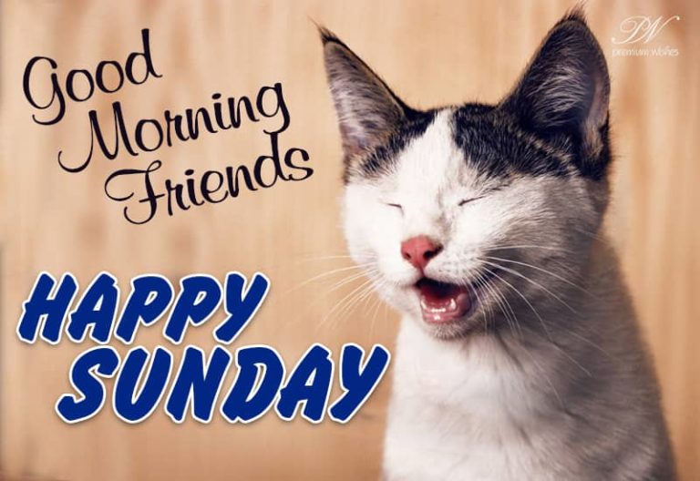 Happy Sunday – Have lots of fun!