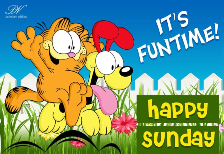 Happy Sunday – It’s Fun-time