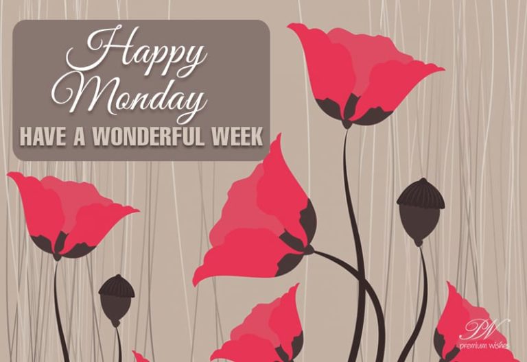 Happy Monday – Have a wonderful week