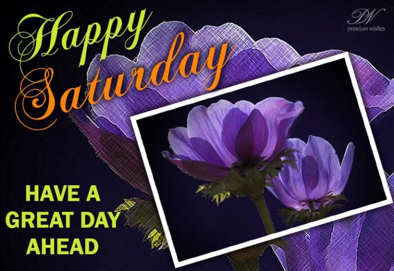 Happy Saturday – Have a blissful day