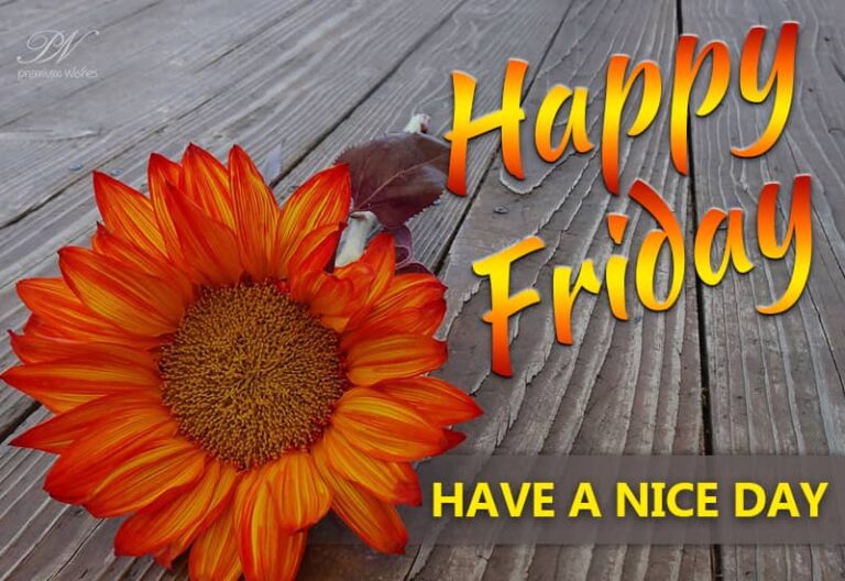 Happy Friday Friends – Have a day full of joyous moments