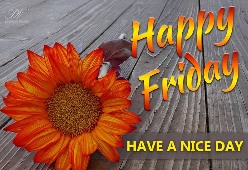 Happy Friday - Wishing You a Wonderful Start to the Weekend!