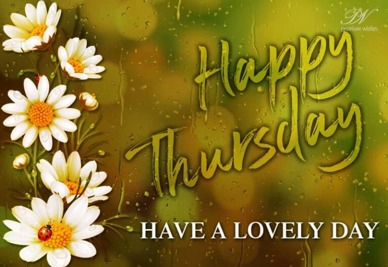 Happy Thursday – Have a lovely day ahead