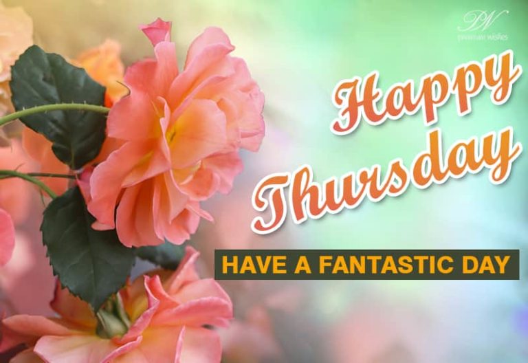 Happy Thursday – Have a fantastic day