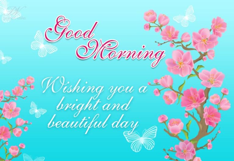 Good Morning – Wishing you a bright and beautiful day