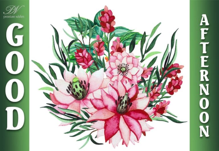 Good Afternoon Wishes