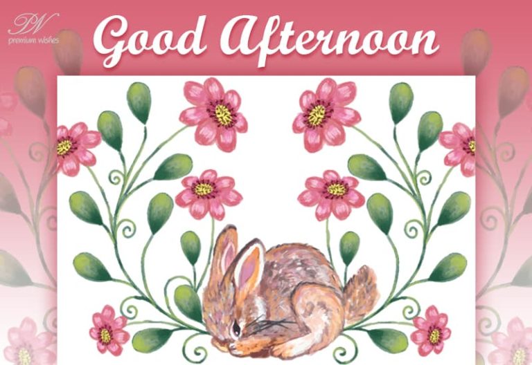 Good Afternoon Wishes
