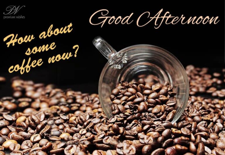 Good Afternoon Wishes