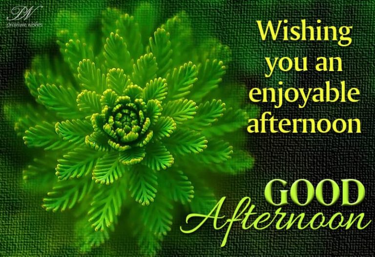 Good Afternoon Wishes