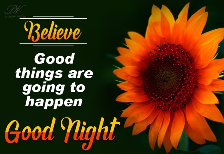 Good Night Wishes
