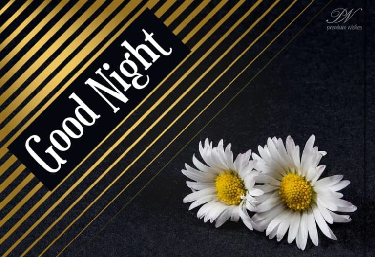 Good Night Wishes