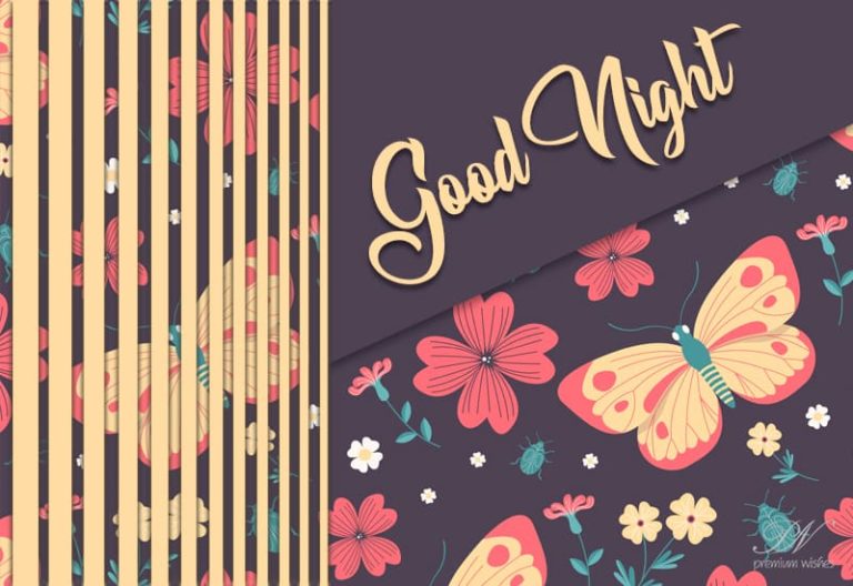 Good Night Wishes