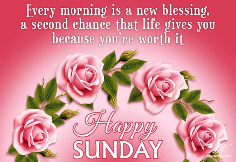 Happy Sunday – Every morning is a new blessing