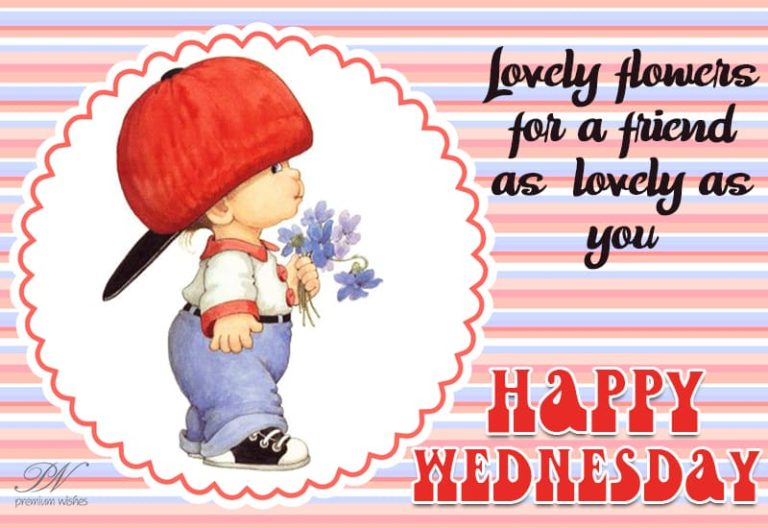 Happy Wednesday – Flowers to greet you this morning