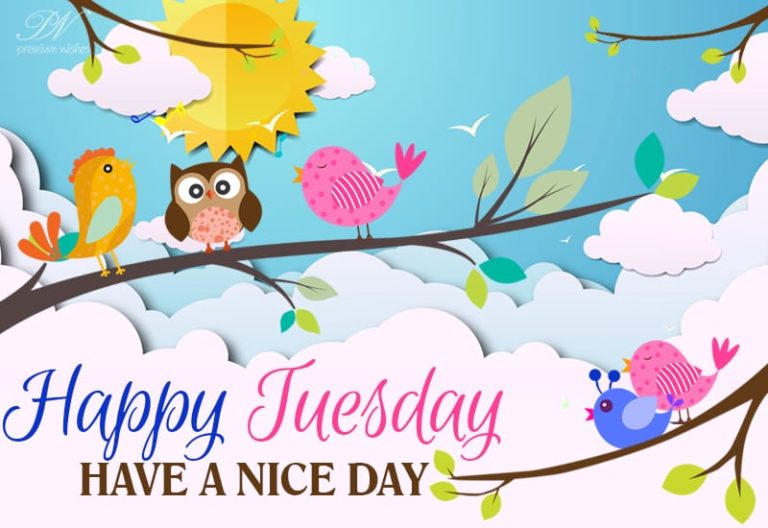 Happy Tuesday – Have a nice day with joyous moments Happy Tuesday – Have a nice day with joyous moments