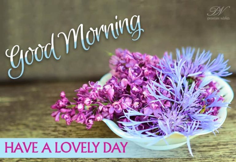 Good Morning Everyone – Have a lovely day!