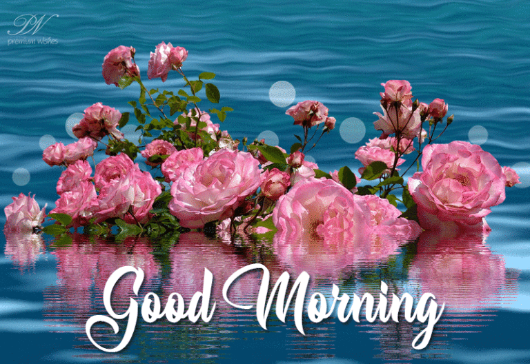 Good Morning Friends – New day, new beginning