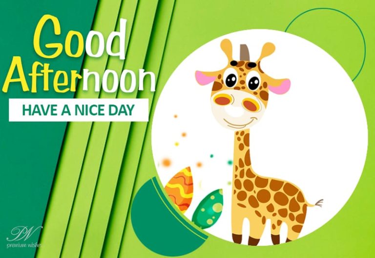 Good Afternoon Wishes